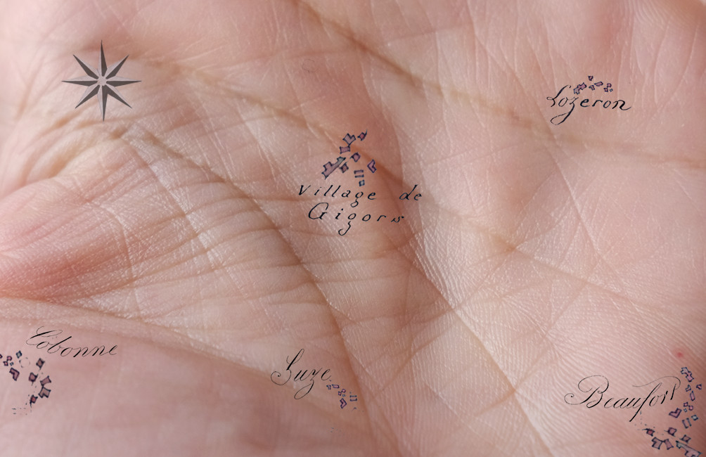 carte de visite couleur 4